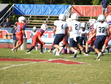 Enlarge photo 209