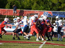 Enlarge photo 228