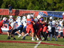 Enlarge photo 229