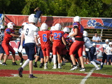 Enlarge photo 242
