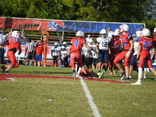 Enlarge photo 258
