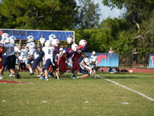 Enlarge photo 280