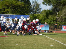 Enlarge photo 281