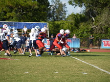 Enlarge photo 282