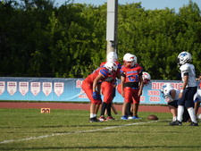 Enlarge photo 295