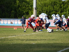 Enlarge photo 296