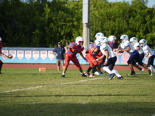 Enlarge photo 297
