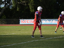 Enlarge photo 313
