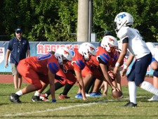 Enlarge photo 317