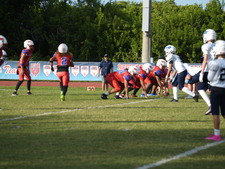 Enlarge photo 319