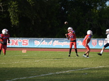 Enlarge photo 321