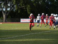 Enlarge photo 331