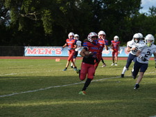 Enlarge photo 336