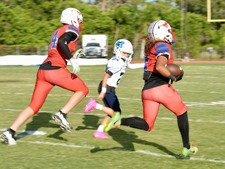 Enlarge photo 345