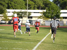Enlarge photo 352