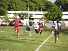 Enlarge photo 355