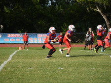 Enlarge photo 386