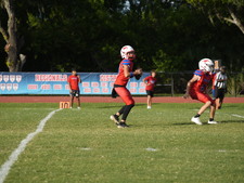 Enlarge photo 390