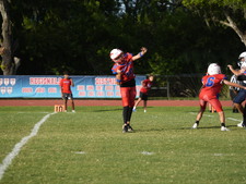 Enlarge photo 396