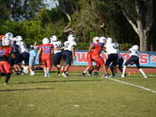 Enlarge photo 432
