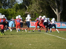 Enlarge photo 434