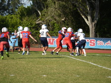 Enlarge photo 435