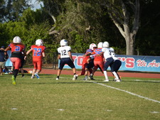 Enlarge photo 438