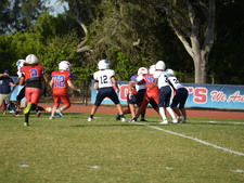 Enlarge photo 439
