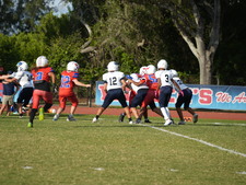 Enlarge photo 440