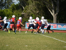 Enlarge photo 441