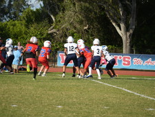 Enlarge photo 442