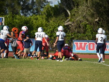 Enlarge photo 449