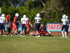 Enlarge photo 450