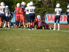 Enlarge photo 452