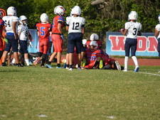 Enlarge photo 454
