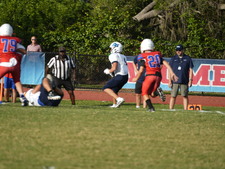 Enlarge photo 462