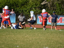 Enlarge photo 463