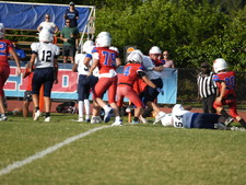 Enlarge photo 466