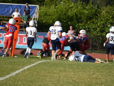 Enlarge photo 473