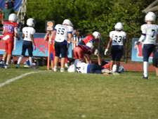 Enlarge photo 475