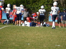 Enlarge photo 478