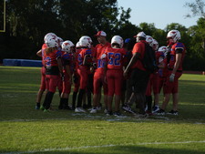 Enlarge photo 482