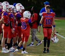 Enlarge photo 483