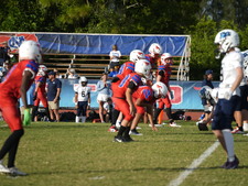 Enlarge photo 493