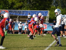 Enlarge photo 494