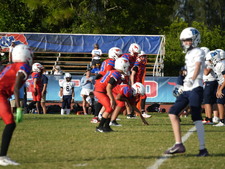 Enlarge photo 495