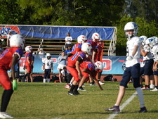 Enlarge photo 496