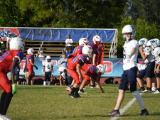 Enlarge photo 497