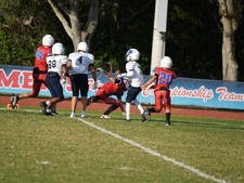 Enlarge photo 498