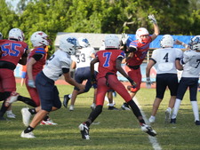 Enlarge photo 532